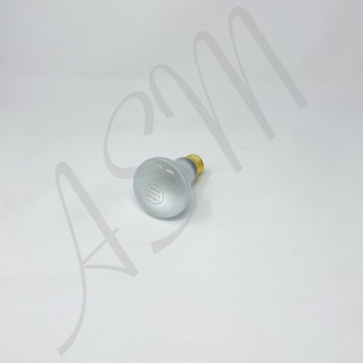 Light Bulb 110 Volt