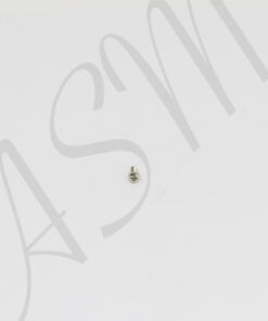AS100 Shoe Screw - Short