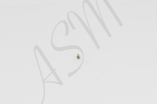 AS100 Shoe Screw - Short