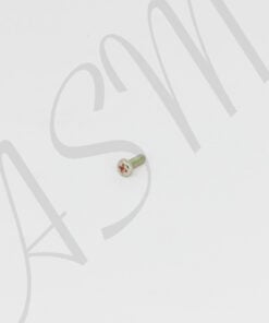 AS100 Motor Assm. Disc Holding Screw