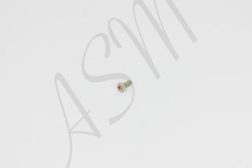 AS100 Motor Assm. Disc Holding Screw